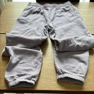 Aritzia Purple Track Pants with Elastic Waistband and Cuffed Ankles